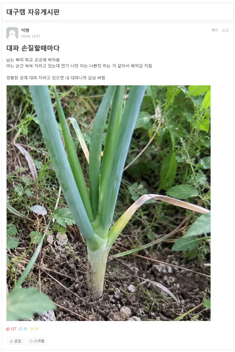 남은 대파를 학교에 처리하는 사람 ㄷㄷ.jpg_1.webp
