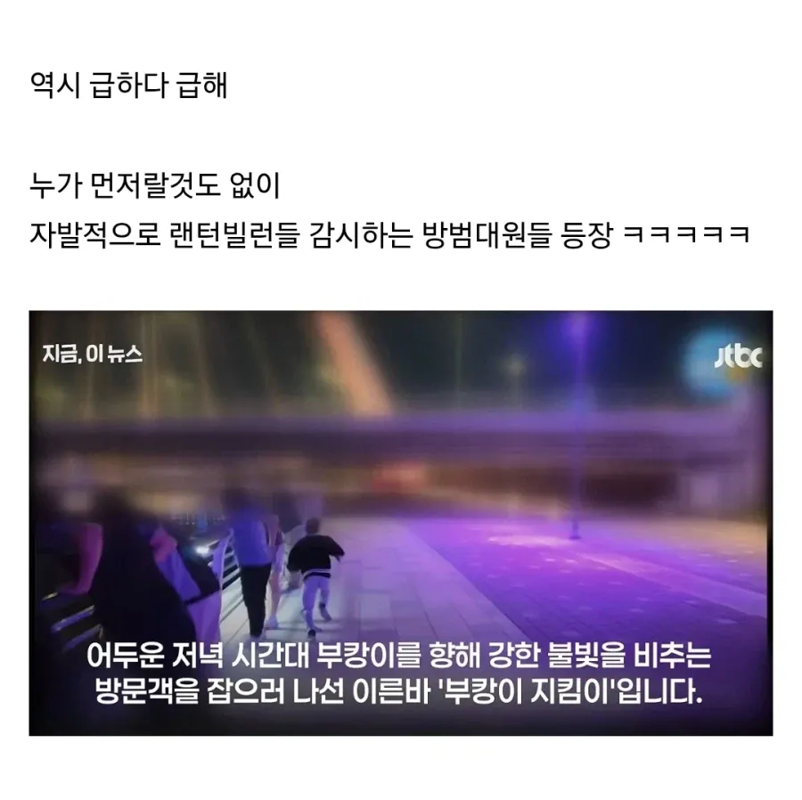 1a1164035474cf59a.webp 랜턴 빛에 다쳤다는 북항 상어, 부산식 결말
