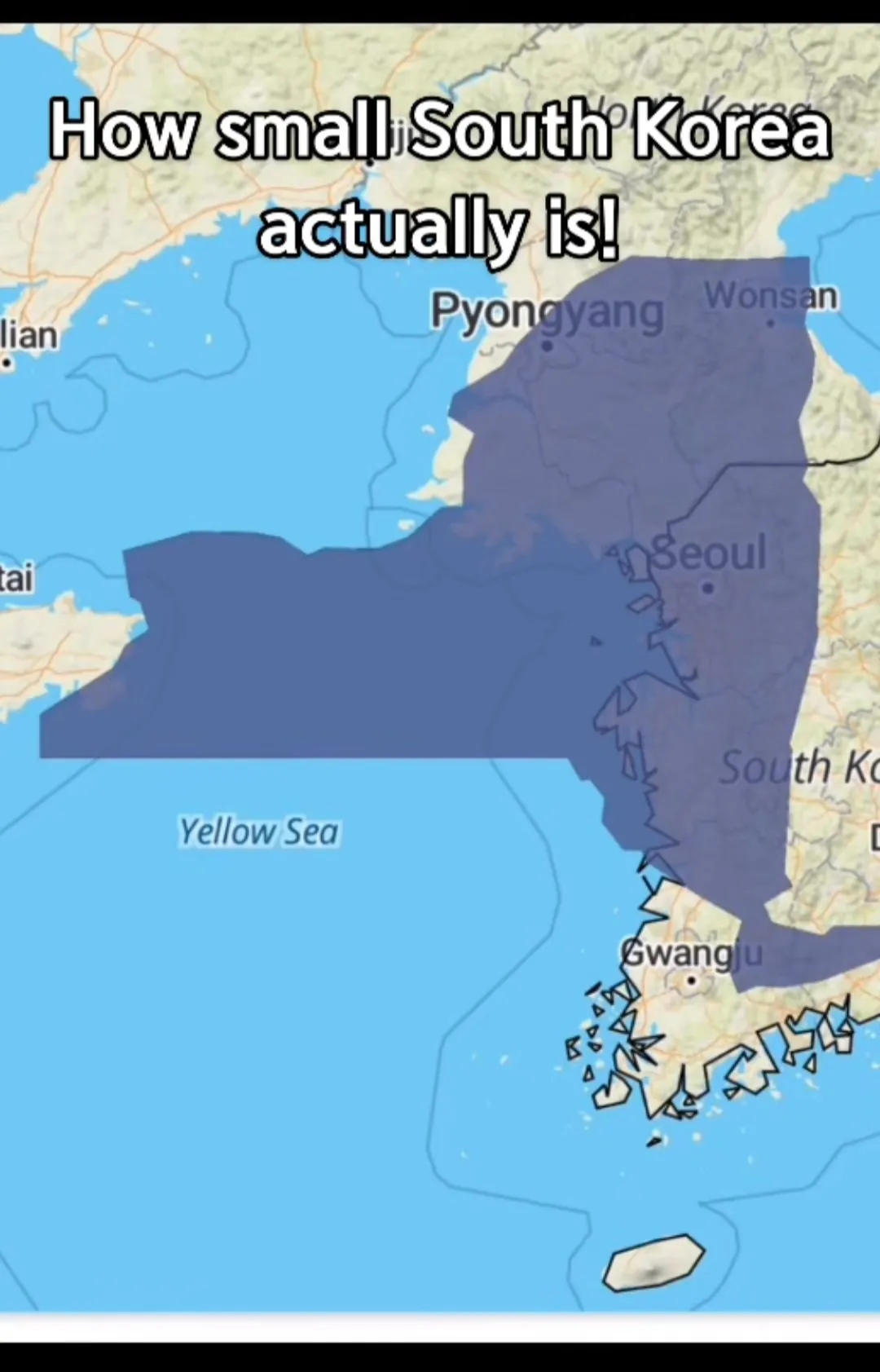 한국 크기를 알게된 미국인들