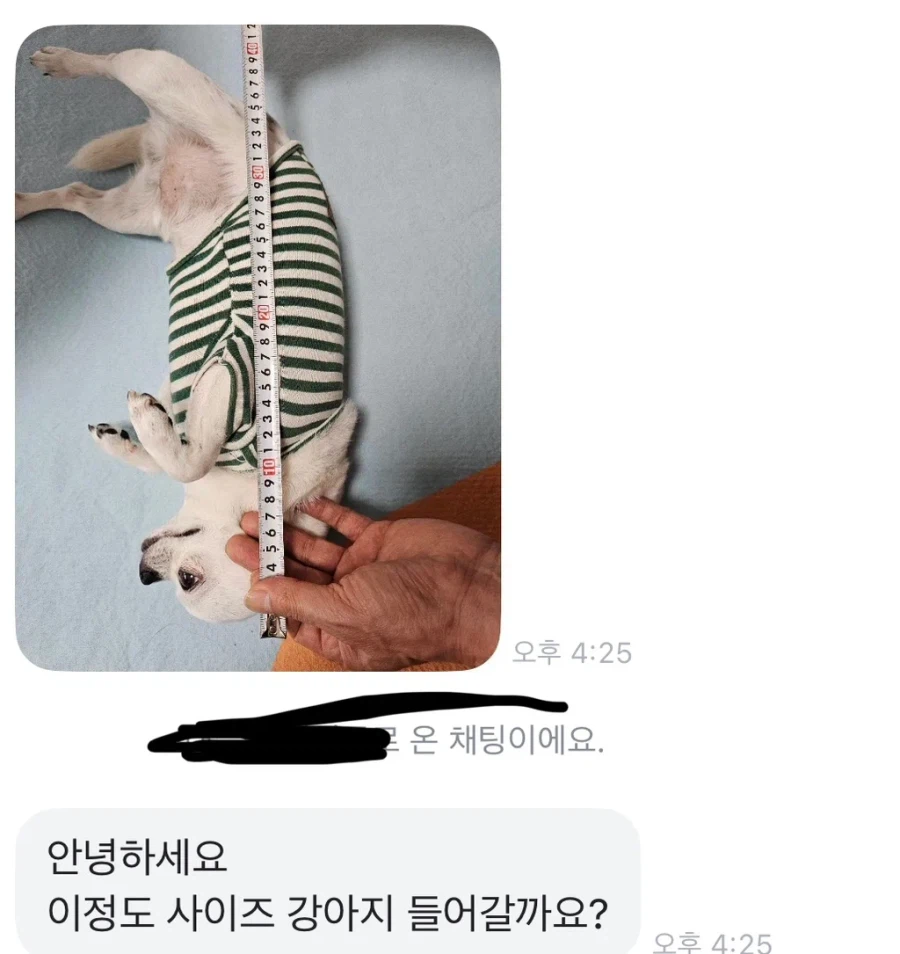 당근에 강아지 집 올려놨는데 온 문의.jpg_1.webp